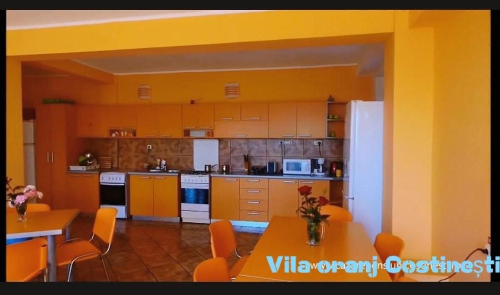 Hotel Vila Oranj à Costinesti Extérieur photo